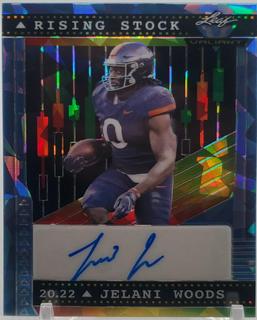 Jelani Woods