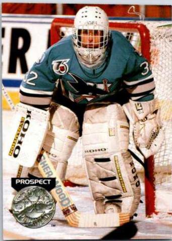 Arturs Irbe #270 Hockey Cards 1991 Pro Set Platinum