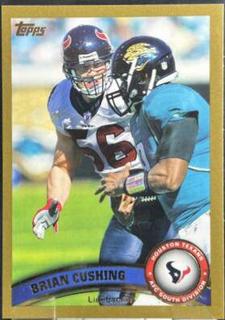 Brian Cushing