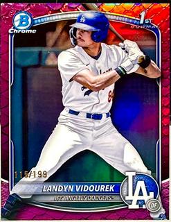Landyn Vidourek