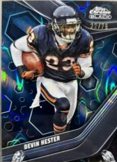 Devin Hester