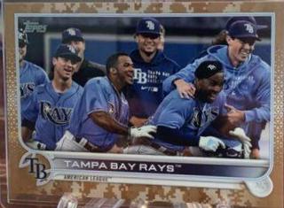 Tampa Bay Rays