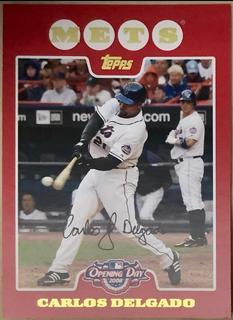 Carlos Delgado