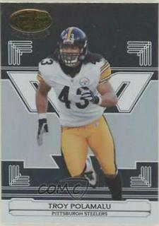 Troy Polamalu