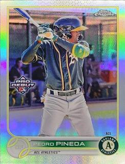 Pedro Pineda