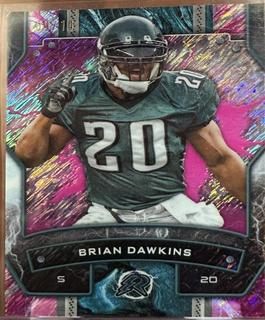 Brian Dawkins