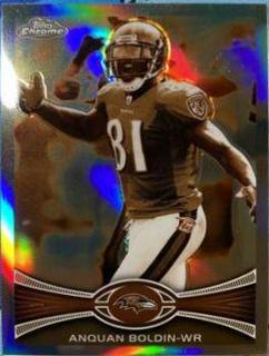 Anquan Boldin