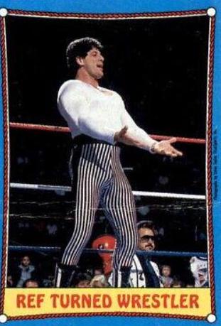 Danny Davis #23 Wrestling Cards 1987 Topps WWF