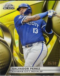 Salvador Perez
