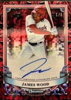 James Wood
