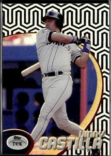 Vinny Castilla