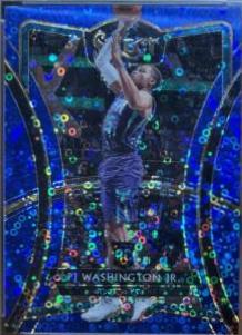 PJ Washington Jr.