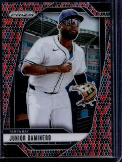 Junior Caminero