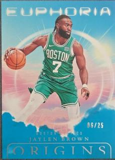 Jaylen Brown