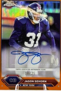 Jason Sehorn