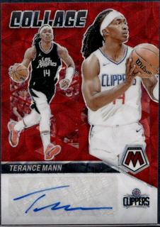 Terance Mann