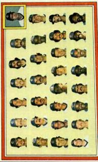 Chicago Cubs / Joe Amalfitano