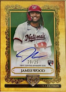 James Wood