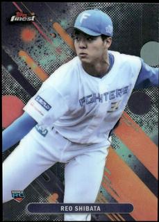 Reo Shibata