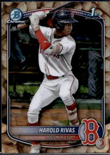 Harold Rivas