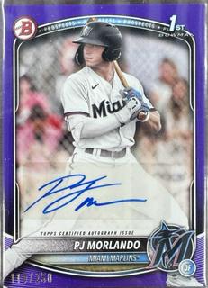 PJ Morlando