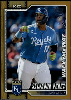 Salvador Perez