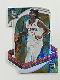 Terance Mann