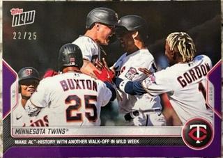 Minnesota Twins