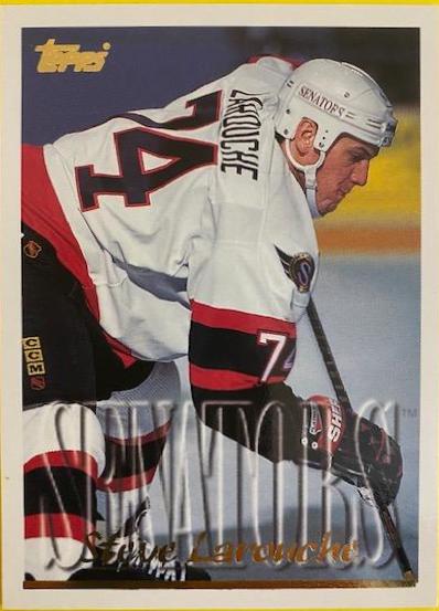 Steve Larouche #38 Hockey Cards 1995 Topps