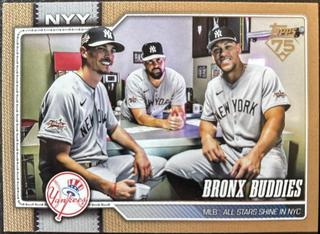 Bronx Buddies