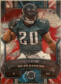 Brian Dawkins
