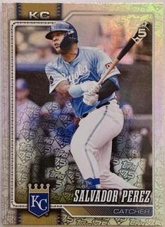 Salvador Perez
