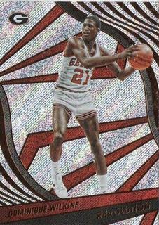 Dominique Wilkins