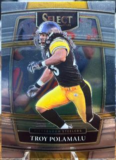 Troy Polamalu