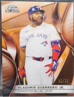 Vladimir Guerrero Jr.