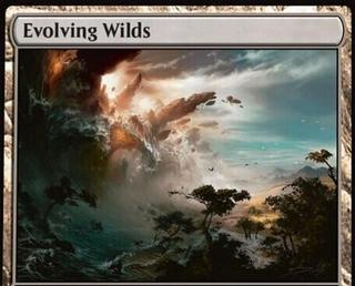 Evolving Wilds
