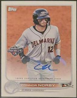 Connor Norby