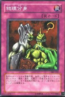 Physical Double 302-047