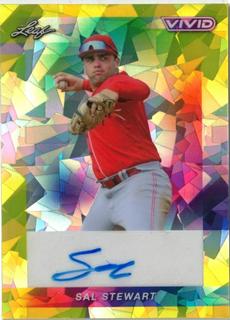 Sal Stewart