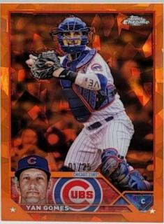 Yan Gomes
