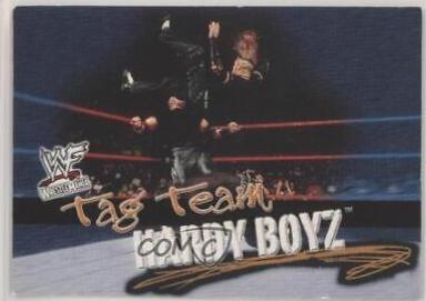 The Hardy Boyz #72 Wrestling Cards 2001 Fleer WWF Wrestlemania