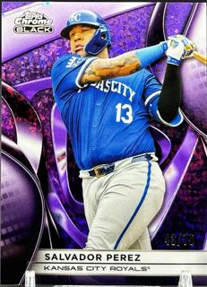 Salvador Perez