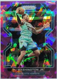 PJ Washington Jr.