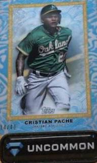 Cristian Pache