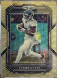 Robert Woods