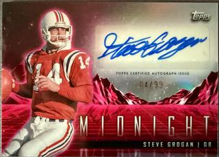 Steve Grogan