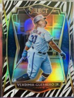 Vladimir Guerrero Jr.