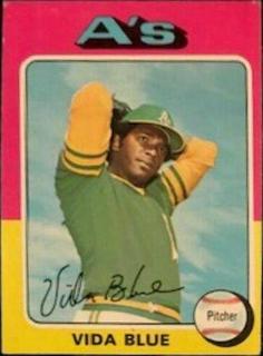 Vida Blue