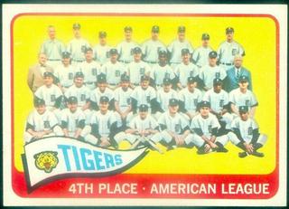 Tigers Team