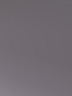 Andruw Jones